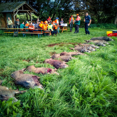 Jagdsaison 2017/18 Jagdsaison 2017/18